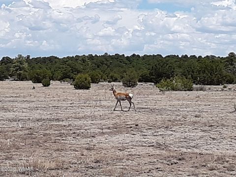 Tiny photo for 0 Tract C TBD, Nutrioso, AZ 85932 (MLS # 259869)