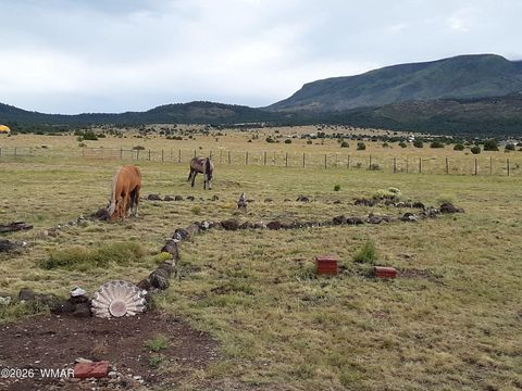 Tiny photo for 0 Tract C TBD, Nutrioso, AZ 85932 (MLS # 259869)