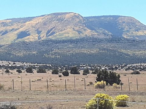 Tiny photo for 0 Tract C TBD, Nutrioso, AZ 85932 (MLS # 259869)