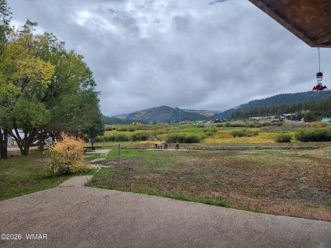 Tiny photo for 140 Main Street #7, Greer, AZ 85927 (MLS # 261067)