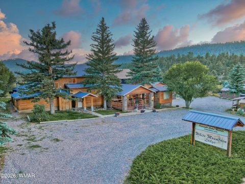 Tiny photo for 140 Main Street #7, Greer, AZ 85927 (MLS # 261067)