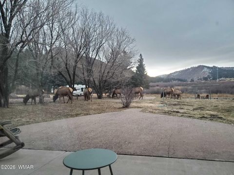 Tiny photo for 140 Main Street #7, Greer, AZ 85927 (MLS # 261067)