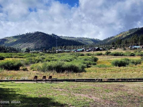 Tiny photo for 140 Main Street #7, Greer, AZ 85927 (MLS # 261067)