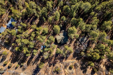Tiny photo for 4584 Cub Lake Road, Show Low, AZ 85901 (MLS # 260295)