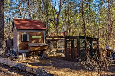 Tiny photo for 4584 Cub Lake Road, Show Low, AZ 85901 (MLS # 260295)