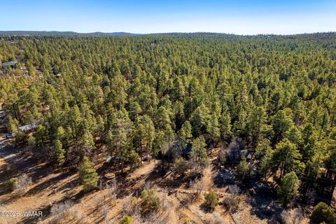 Tiny photo for 4584 Cub Lake Road, Show Low, AZ 85901 (MLS # 260295)