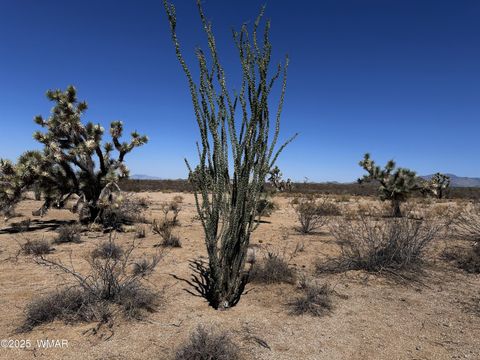 Tiny photo for 17404 S Jesse James Road, Lake Havasu City, AZ 86401 (MLS # 258765)