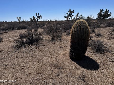 Tiny photo for 17404 S Jesse James Road, Lake Havasu City, AZ 86401 (MLS # 258765)