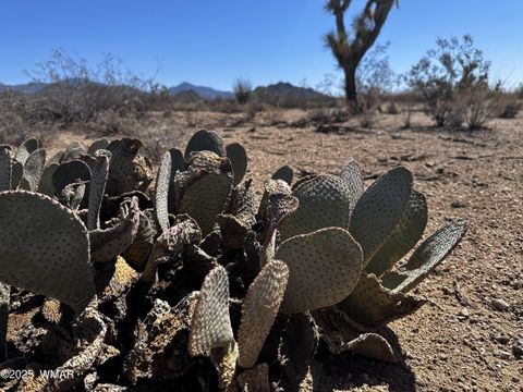 Tiny photo for 17404 S Jesse James Road, Lake Havasu City, AZ 86401 (MLS # 258765)