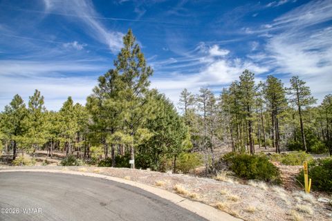 Tiny photo for 2245 S Columbine Court, Show Low, AZ 85901 (MLS # 259915)