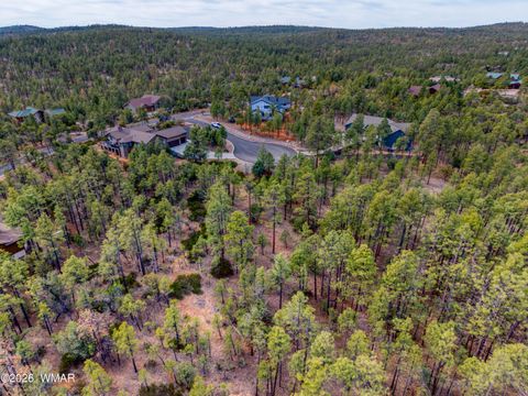 Tiny photo for 2245 S Columbine Court, Show Low, AZ 85901 (MLS # 259915)