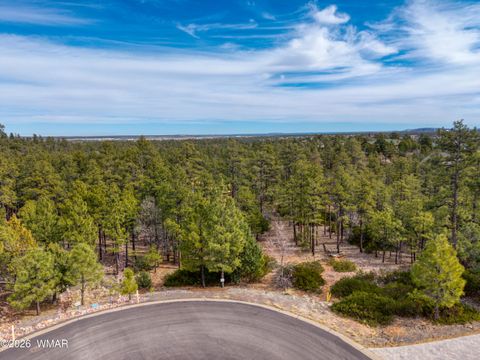 Tiny photo for 2245 S Columbine Court, Show Low, AZ 85901 (MLS # 259915)