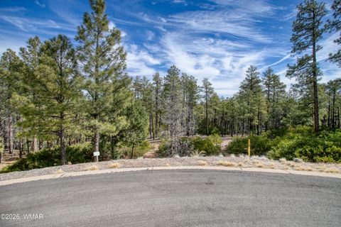 Photo of 2245 S Columbine Court, Show Low, AZ 85901 (MLS # 259915)