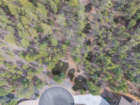 Tiny photo for 2245 S Columbine Court, Show Low, AZ 85901 (MLS # 259915)