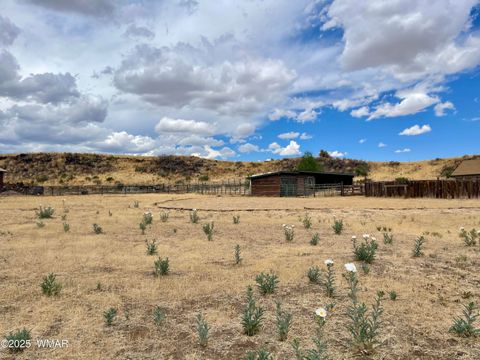 Tiny photo for 183 N Becker Lake Road, Springerville, AZ 85938 (MLS # 256882)