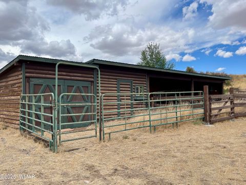 Tiny photo for 183 N Becker Lake Road, Springerville, AZ 85938 (MLS # 256882)