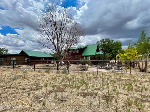 Tiny photo for 183 N Becker Lake Road, Springerville, AZ 85938 (MLS # 256882)