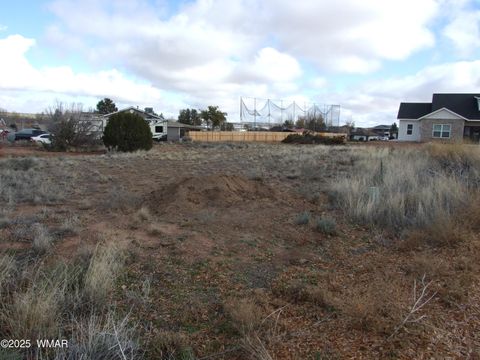 Tiny photo for 89 N Lyon Gate Dr Dr, Snowflake, AZ 85937 (MLS # 258894)