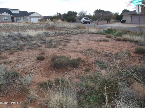 Tiny photo for 89 N Lyon Gate Dr Dr, Snowflake, AZ 85937 (MLS # 258894)