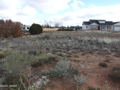 Tiny photo for 89 N Lyon Gate Dr Dr, Snowflake, AZ 85937 (MLS # 258894)