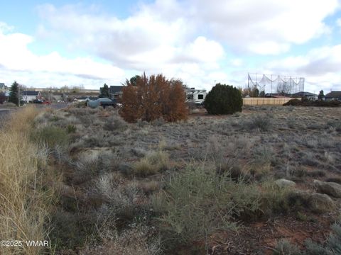 Tiny photo for 89 N Lyon Gate Dr Dr, Snowflake, AZ 85937 (MLS # 258894)