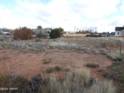 Tiny photo for 89 N Lyon Gate Dr Dr, Snowflake, AZ 85937 (MLS # 258894)