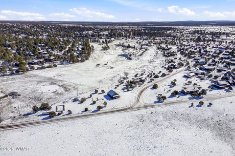 Tiny photo for 2763 Sunflower Drive, Overgaard, AZ 85933 (MLS # 256703)