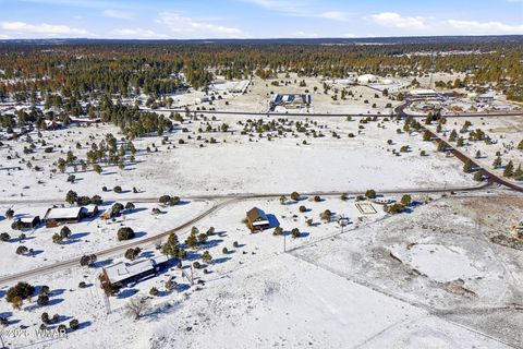 Tiny photo for 2763 Sunflower Drive, Overgaard, AZ 85933 (MLS # 256703)