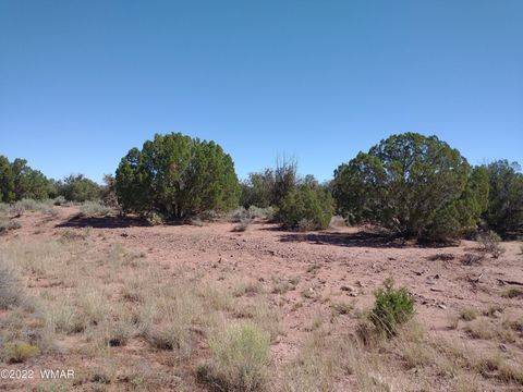 Tiny photo for 4253 Indian Bend Road, Snowflake, AZ 85937 (MLS # 243820)