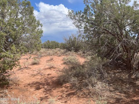 Tiny photo for 4253 Indian Bend Road, Snowflake, AZ 85937 (MLS # 243820)