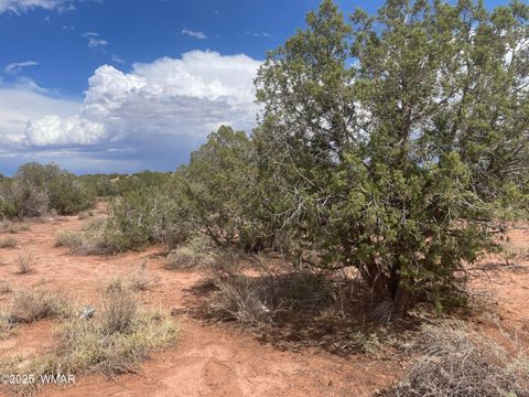 Tiny photo for 4253 Indian Bend Road, Snowflake, AZ 85937 (MLS # 243820)