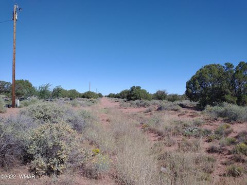 Photo of 4253 Indian Bend Road, Snowflake, AZ 85937 (MLS # 243820)