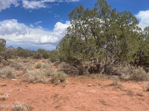 Tiny photo for 4253 Indian Bend Road, Snowflake, AZ 85937 (MLS # 243820)