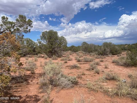 Tiny photo for 4253 Indian Bend Road, Snowflake, AZ 85937 (MLS # 243820)