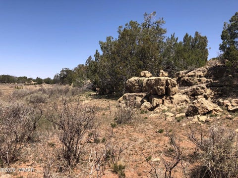 Tiny photo for 785 Twin Tanks Road, Heber, AZ 85928 (MLS # 261645)