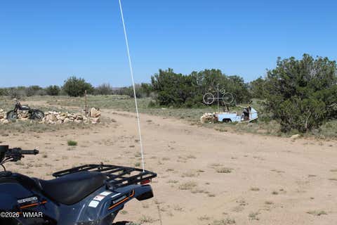Tiny photo for 785 Twin Tanks Road, Heber, AZ 85928 (MLS # 261645)