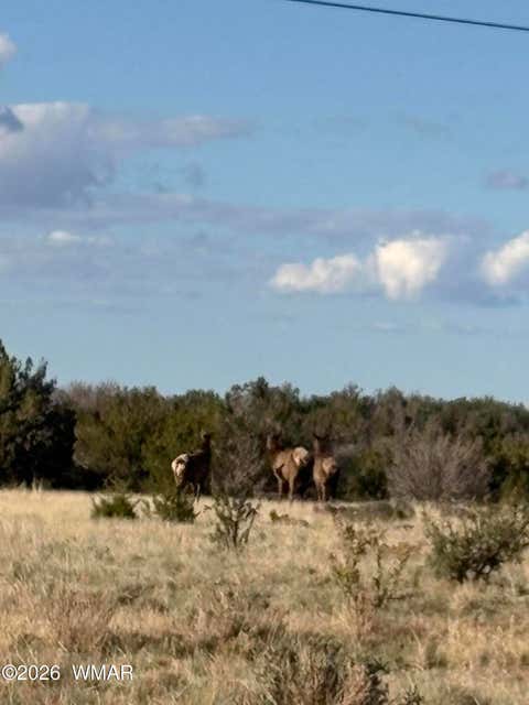 Tiny photo for 785 Twin Tanks Road, Heber, AZ 85928 (MLS # 261645)