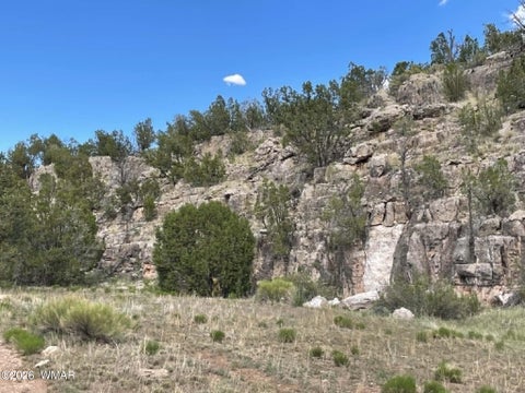 Tiny photo for 785 Twin Tanks Road, Heber, AZ 85928 (MLS # 261645)