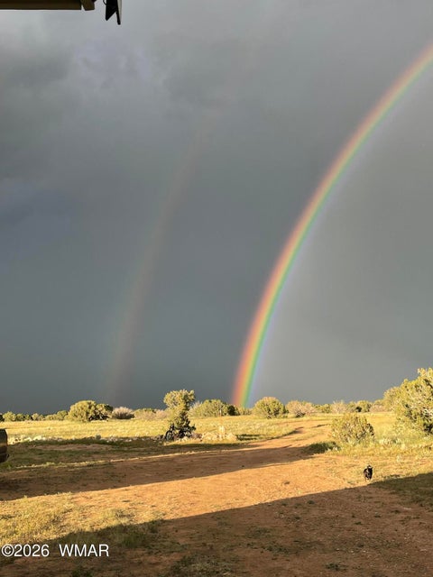 Tiny photo for 785 Twin Tanks Road, Heber, AZ 85928 (MLS # 261645)