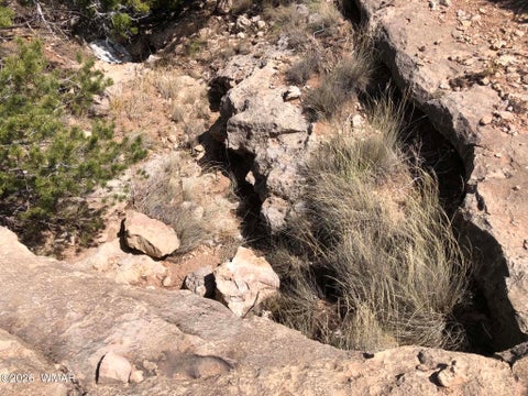 Tiny photo for 785 Twin Tanks Road, Heber, AZ 85928 (MLS # 261645)