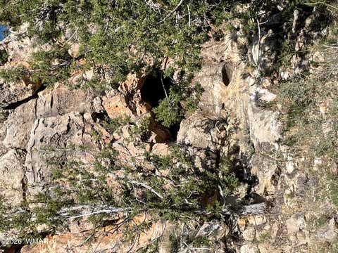 Tiny photo for 785 Twin Tanks Road, Heber, AZ 85928 (MLS # 261645)