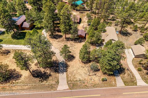 Tiny photo for 2924 Pine Rim Road, Overgaard, AZ 85933 (MLS # 260962)
