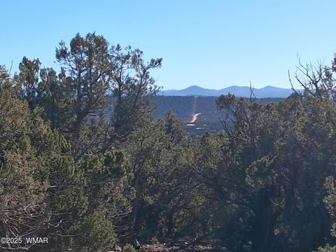 Photo of TBD N8716, Concho, AZ 85924 (MLS # 258855)