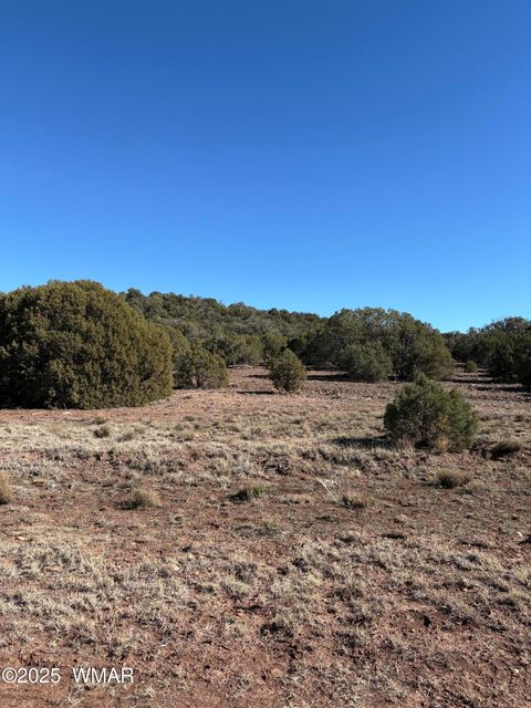 Tiny photo for TBD N8716, Concho, AZ 85924 (MLS # 258855)