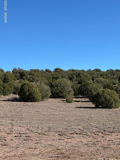 Photo of TBD N8716, Concho, AZ 85924 (MLS # 258855)