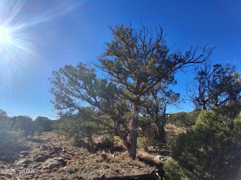 Tiny photo for TBD N8716, Concho, AZ 85924 (MLS # 258855)