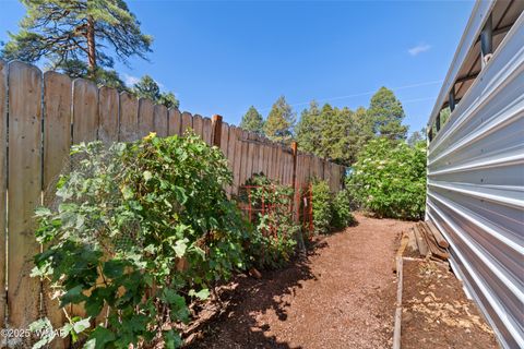 Tiny photo for 2027 Wilderness Drive, Overgaard, AZ 85928 (MLS # 258104)