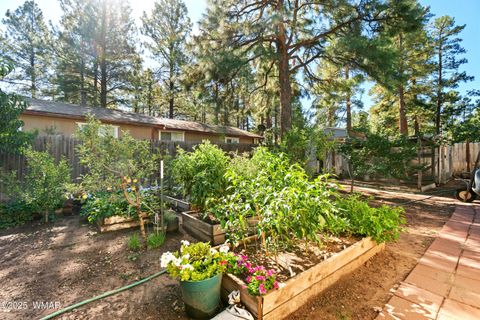 Tiny photo for 2027 Wilderness Drive, Overgaard, AZ 85928 (MLS # 258104)