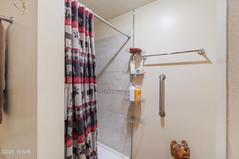 Tiny photo for 2027 Wilderness Drive, Overgaard, AZ 85928 (MLS # 258104)