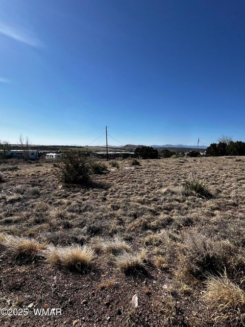 Tiny photo for 58 Short Lane, Concho, AZ 85924 (MLS # 258647)